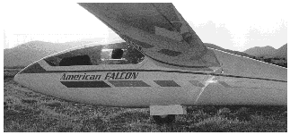 American Falcon Sailplane